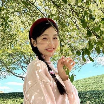 万紫千红花弄蝶